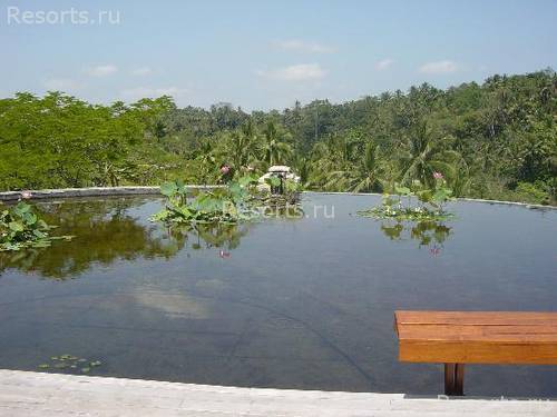 Four Seasons Resort Bali at Sayan 43